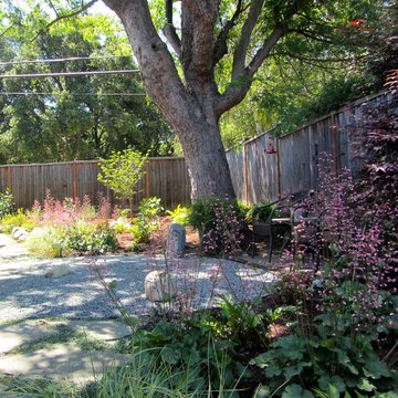 Cupertino Contemporary