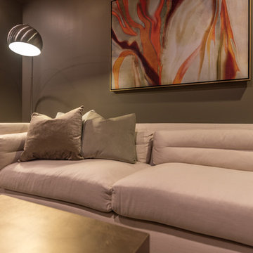 Contemporary Basement