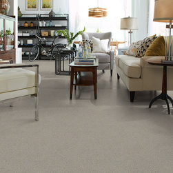 SKIPPY- STAINMASTER PET PROTECT - Flooring