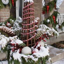 All Season Container Gardening