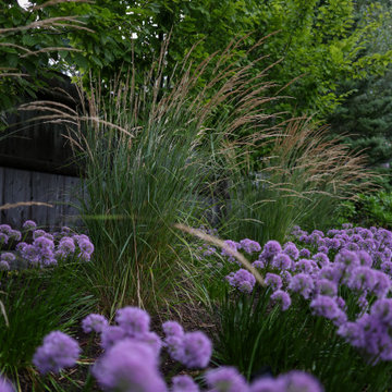 OUTDOOR OASIS