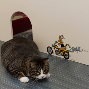 Cat/Laundry Room