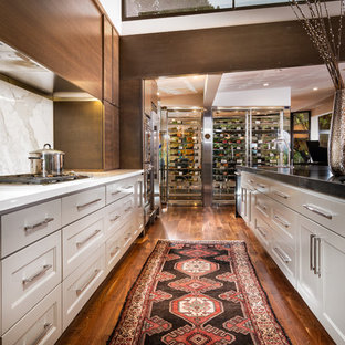 75 Beautiful Midcentury Modern Kitchen Pantry Pictures Ideas Houzz