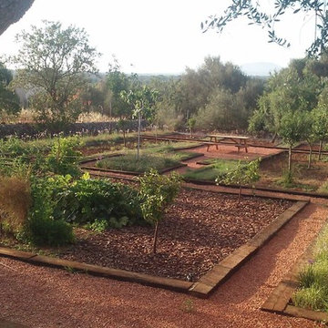 Creación Jardín funcional