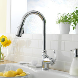Danze Anu Single Handle Pull-Down Kitchen Faucet - Kitchen Faucets