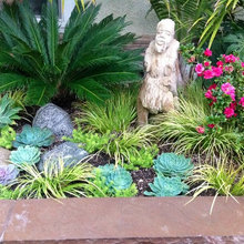 Tropical Garden Bed