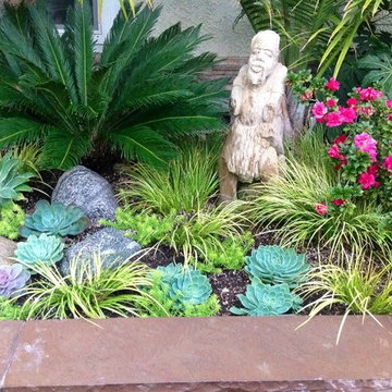 Moonray Succulent Garden