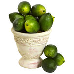 Nearly Natural - Faux Limes, Set of 12, Green - From their tangy flavor to their soft pulpy texture, limes are the perfect accessory to practically any drink.  In this case, however, they make for the perfect accessory in any decorative situation, from table centerpieces to decorations around your favorite beverage area.  With their vivid green color and fun skin textures, this 'sweet dozen" set will meet all of your needs for that perfect party atmosphere.