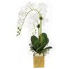 White Orchids, Succulents & Pebbles Flower in Gold Planter