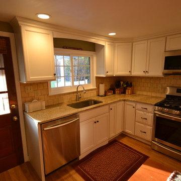 Berwyn Kitchen Remodel