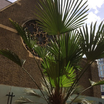 Sustainable development landscaping