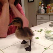 Danielle Geoffrion's photo