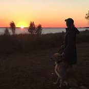 Graham Davies's photo