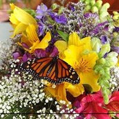 Mary Lou Spieth's photo