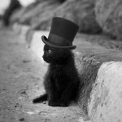 Foto von Amanda Johnson