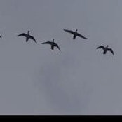 Tim Boleratz's photo