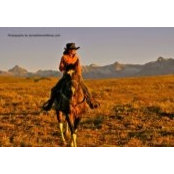 Dana Ivers's photo