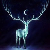Sean Banks's photo