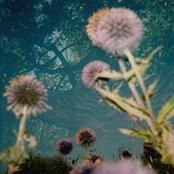 Kamilla Kase's photo