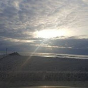 Lisa White's photo
