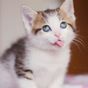 Erin Edwards's photo