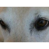 Kimi Biko's photo