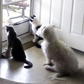 Karyn Dugon's photo