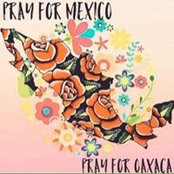 Rocio Casillas's photo