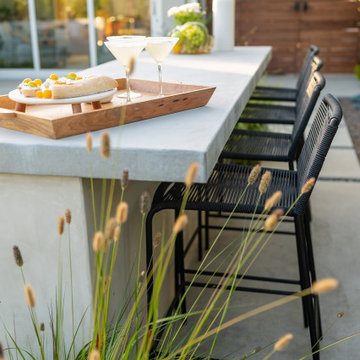 Mid Century Courtyard Garden