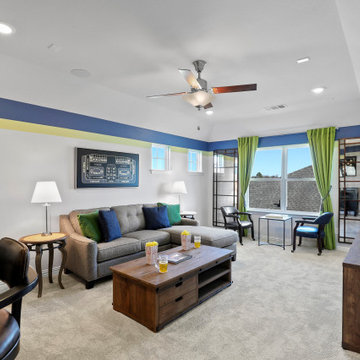 Dallas, Texas | Fireside Park - Premier Laurel Game Room