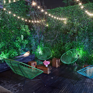 メキシコシティの小さいコンテンポラリースタイルのおしゃれなデッキ (壁面緑化) の写真