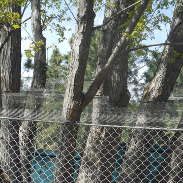 Cheyenne Mountain Zoo - Australia Kangaroo Exhibit (2018)