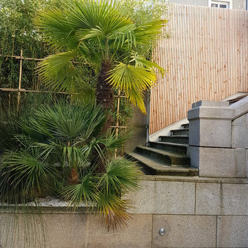 vue sur l'escalier du rez-de-jardin