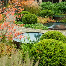 Yard ideas