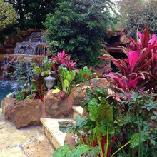 pool landscaping