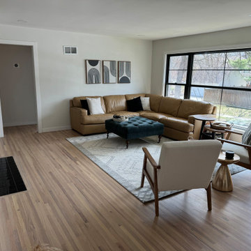 St Louis Park Modern