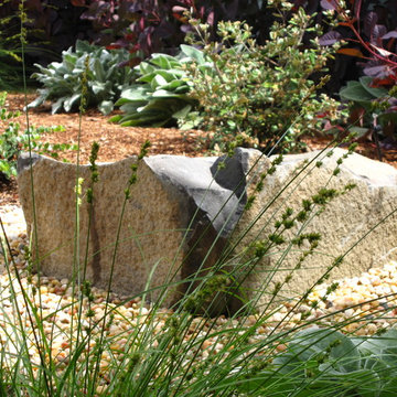 Warm Contemporary Front Garden
