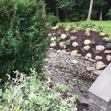 Riparian Stream Restoration : Pound Ridge NY