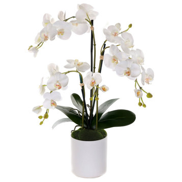 Real Touch Phalaenopsis Orchids in White Cylinder Pot