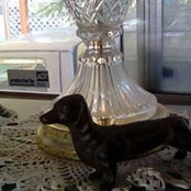 Debbie Lamm's photo