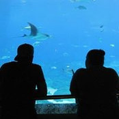 Michelle Sutcliffe's photo