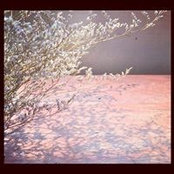 Anny Nguyen's photo