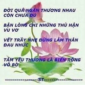 Buu Nguyen's photo