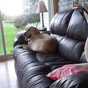 Kathy Morley's photo