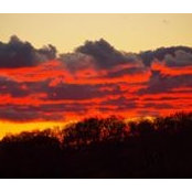 Bela Antal III's photo