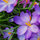 webuser_16313