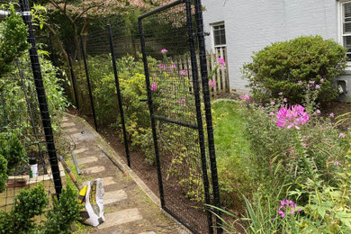 Deer Fencing and Planting