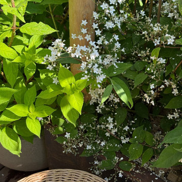 Variations de blancs