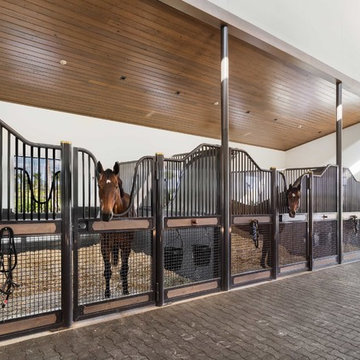 Equestrian: M&M show stables