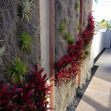 vertical garden